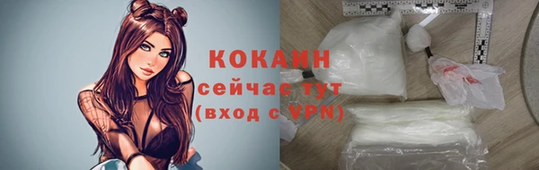 apvp Горняк
