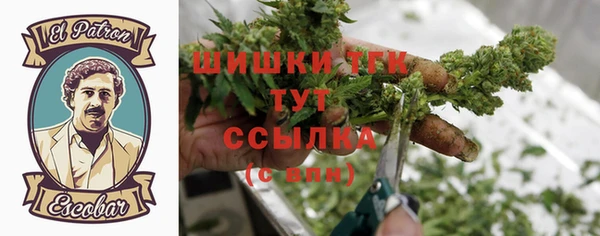 apvp Горняк