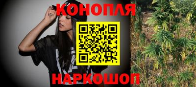 прущие крисы Камышлов
