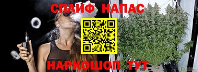 индика Гусь-Хрустальный