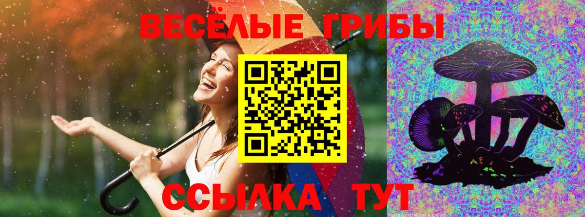 Псилоцибиновые грибы Cubensis Междуреченск