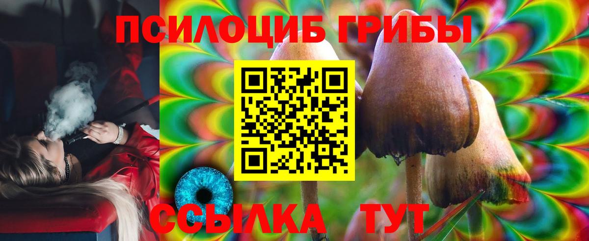 Междуреченск  Псилоцибиновые грибы мицелий  купить наркоту  Вход с VPN 